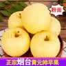 甜醉了 烟台苹果黄元帅粉面苹果黄金帅黄香蕉山东新鲜水果当季整箱鲜果 净重8.5斤75mm 实拍图