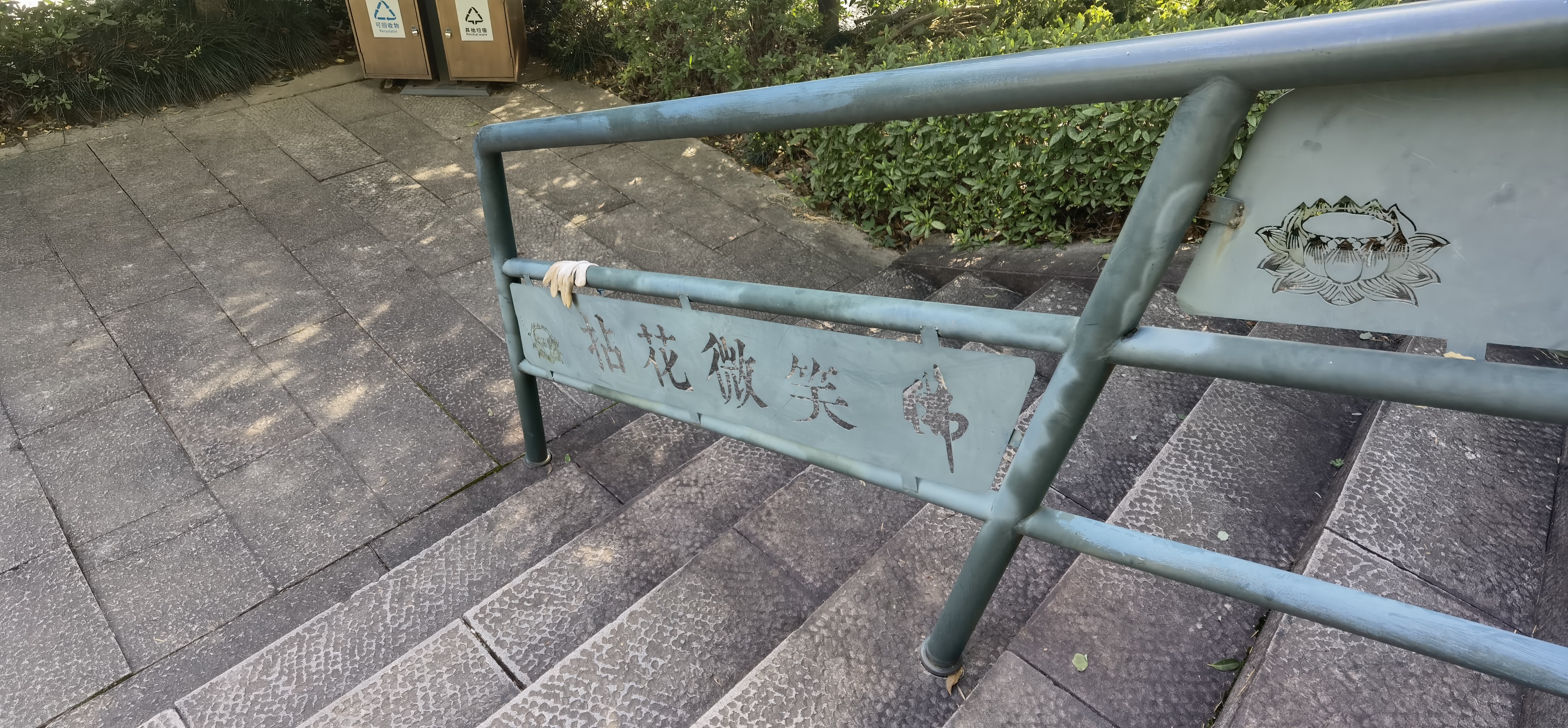 同仁堂（TRT）黄芪霜抗皱紧致抗衰老去黄面霜国货补水保湿提亮肤色50g 实拍图