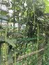 得力（deli）得力密封胶泥墙壁空调孔洞下水道填缝神器防虫防风堵漏填充泥 无甲醛40g JS174 实拍图