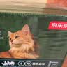 京东京造 鲜肉全价主食猫条15g*195支 猫零食补水鱼油美毛0添加 实拍图