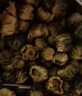 艺福堂胎菊花茶50g 新花无硫熏杭白菊 特养生凉茶级可搭配玫瑰花枸杞 实拍图