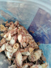 赶海弟 海兔子干500g 淡晒笔管小鱿鱼墨鱼仔乌贼干 火锅食材 南北干货 实拍图