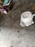 德尔玛（Deerma）【重磅单品】TJ700S 干吹两用吸尘器 家用商用 吸尘器桶式大吸力 整机降噪设计ZN-530 实拍图