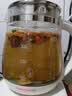 九阳（Joyoung） 养生壶1.5L茶具电茶壶煮茶壶花茶壶玻璃煮茶器煎药壶中药锅药膳电水壶烧水壶 DGD1506BQ【超高性价比断货款】 1.5L 实拍图