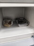 志高（CHIGO）小冰箱迷你小型家用冷藏冷冻两用宿舍出租房用双门办公室电冰箱节能省电 【一级能效】76L银色【全国联保丨节能省电】 实拍图