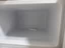 新飞冰箱小型租房用 一级能效冷 藏冷冻两用1-2人家用小冰箱 出租房双门电冰箱办公室两门 26年升级 86A一级能效【高性价比】银 实拍图