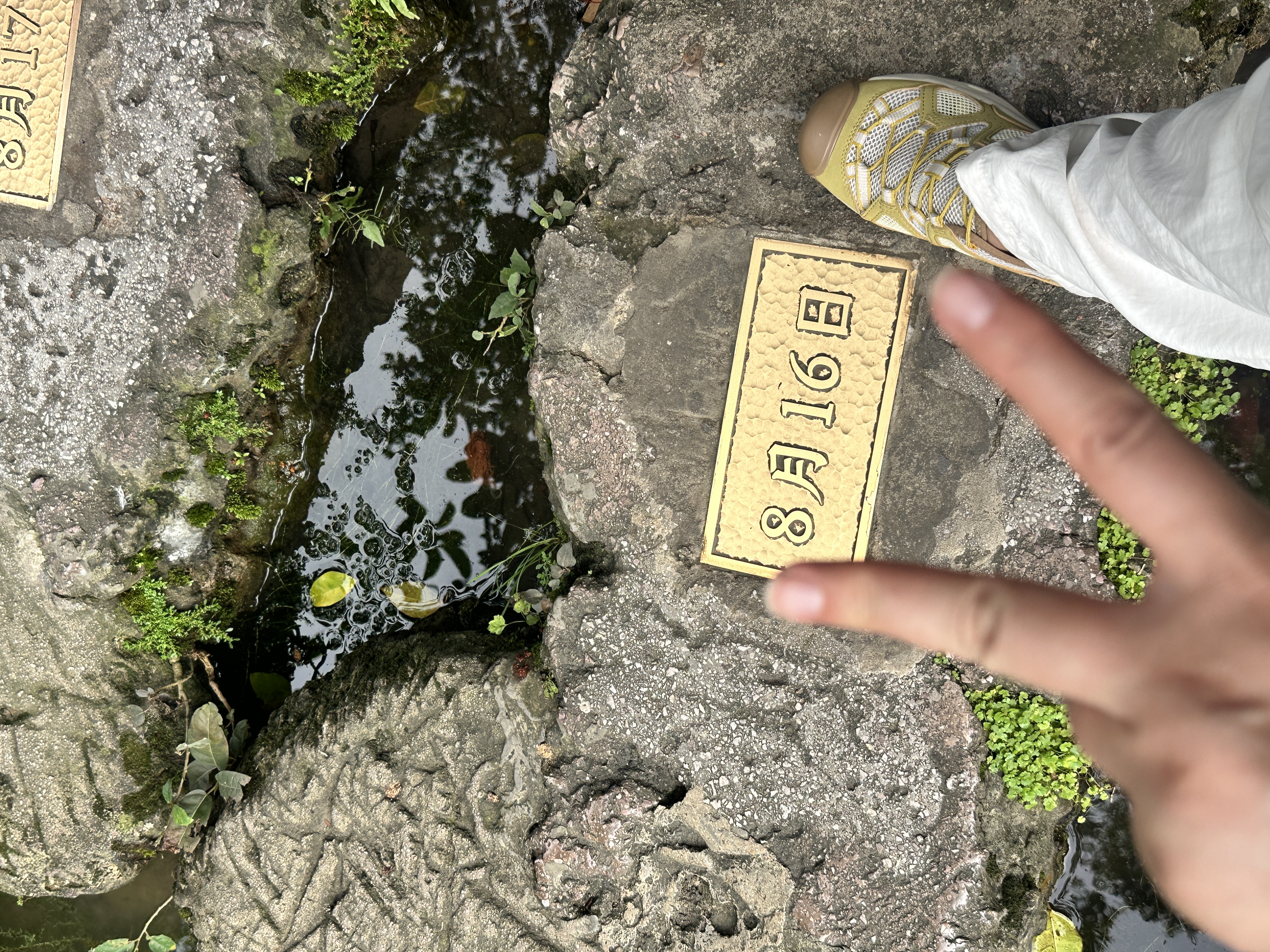 迪卡侬NH900女士夏季户外郊野徒步防滑速干溯溪鞋洞洞鞋卡其38-5464453 实拍图