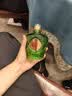 红星二锅头 红星御酒 小绿坛子纯粮 清香型白酒 43度 500ml*6自饮送礼 实拍图