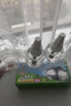 超威电蚊香液基孔肯雅热灭蚊器无香驱蚊液防蚊补充液4瓶1加热器 实拍图