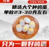 均鲜新鲜土鸽子蛋杂粮喂养农家特产白鸽蛋信鸽蛋孕妇宝宝年货节礼盒装 60枚1500g左右精选大个种鸽蛋 实拍图