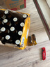 麒麟（Kirin）一番榨 黄啤酒330ml*24瓶 清爽口感京东自营 实拍图