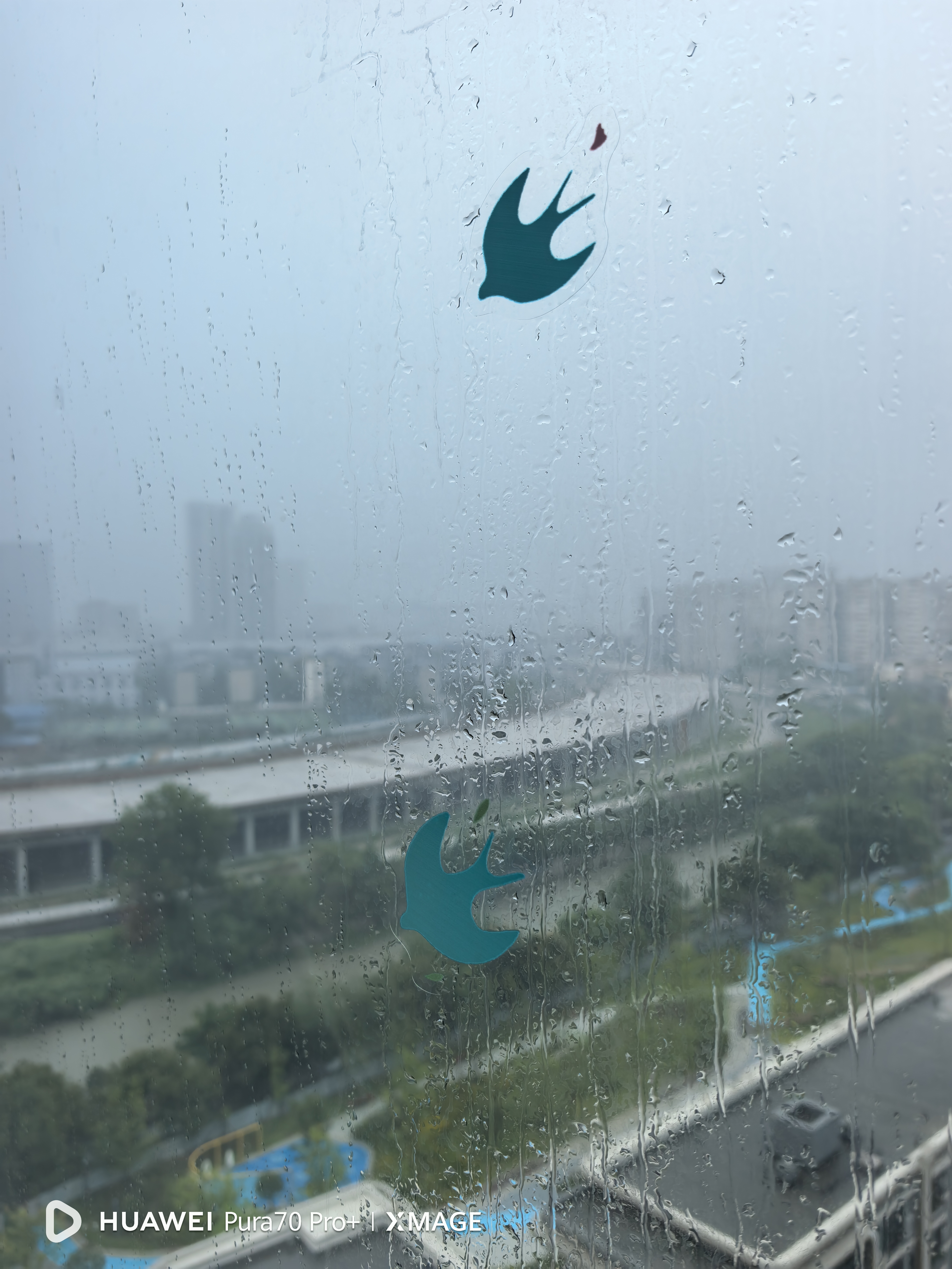 希偌ins风玻璃贴纸客厅餐厅推拉门防撞线条防水静电阳台窗户装饰贴膜 实拍图