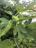 京东京造 5号电池40节彩虹装五号电池碱性【10年长效存储】无铅无汞适用鼠标键盘手柄门锁遥控器燃气表玩具 实拍图