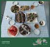 四季沐歌（MICOE）晾衣架落地折叠晾衣架双杆阳台移动衣架卧室伸缩挂衣架晒被子神器 三角防风【3秒折叠】高度可调144cm-雅黑 实拍图