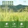 喜帅兔子提摩西草 精选烘干北提提草龙猫兔粮荷兰猪主粮磨牙零食500g 实拍图
