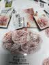 华味亨多口味缤纷蜜果500g一包梅子混合蜜饯果干话梅企业礼包团购零食 实拍图
