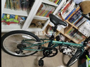 大行（DAHON）经典D6折叠自行车20英寸6速成人休闲单车 KBC061 墨绿色 20英寸 实拍图