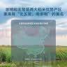 崇明大米2026当月新米南粳46大米20斤10kg 崇明岛直供 珍珠米 粳米 含胚芽 实拍图