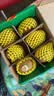 佳沛（zespri）新西兰  阳光金奇异果6粒装 单果约88-103g 猕猴桃水果 实拍图