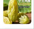 问君【超大绿香妃王】新疆吐鲁番葡萄干500g无核白葡萄干免洗休闲零食 实拍图