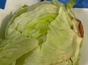 绿食者 新鲜球生菜500g 汉堡用西生菜西餐三明治沙拉蔬菜健康轻食食材 实拍图