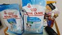 皇家狗粮幼犬奶糕幼犬狗粮宠物小型犬MIS30全价犬粮 ≤2月3KG 实拍图