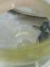 【京东物流】水杯冰霸吸管杯高颜值学生茶水分离大容量杯子 肚肚杯1个-浅绿色 实拍图