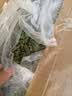 喜帅烘干紫花苜蓿草 幼兔兔粮牧草干草龙猫荷兰猪磨牙饲料净重750g 实拍图