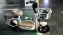 飞鸽电动自行车 E75Plus2026款新国标电动车长续航80KM铅酸电池48V21Ah智能家用电瓶车可上牌漫步白 实拍图