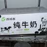 西域春  新疆纯奶早餐奶整箱206g*20盒 新疆特产儿童营养早餐奶牛奶 实拍图
