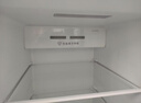 TCL 650L对开门冰箱超大容量大冷冻电冰箱双变频一级能效节能风冷无霜深冷速冻R650T3-S世界杯推荐 实拍图