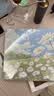 NVV【手工创作】数字油画diy填涂色儿童画挂画手绘画像装饰画活动治愈解压diy油彩画客厅 晴空雏菊 实拍图