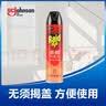 雷达（Raid）杀蟑剂喷雾 600ml 天然柑橘香型 杀虫剂喷雾 杀虫气雾剂 实拍图