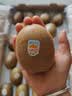 佳沛（zespri）新西兰阳光金奇异果18粒礼盒优选果单果103-124g 猕猴桃水果礼盒 实拍图