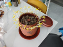 田园梦生豆芽机家用全自动紫砂豆芽罐豆芽发芽神器食品级发花生芽胖豆芽 大号紫砂豆芽罐（每年送麦饭石） 实拍图