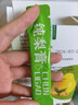 枇杷秋梨膏泡水常备老少皆宜冲饮秋季膏滋 【超值装】 10g*10袋 /盒 实拍图