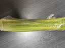 西芹1kg 实拍图