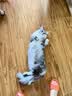 京东京造宠物免洗手套猫咪狗狗专用湿巾去味洗澡幼犬干洗清洁除臭抑菌20片 实拍图