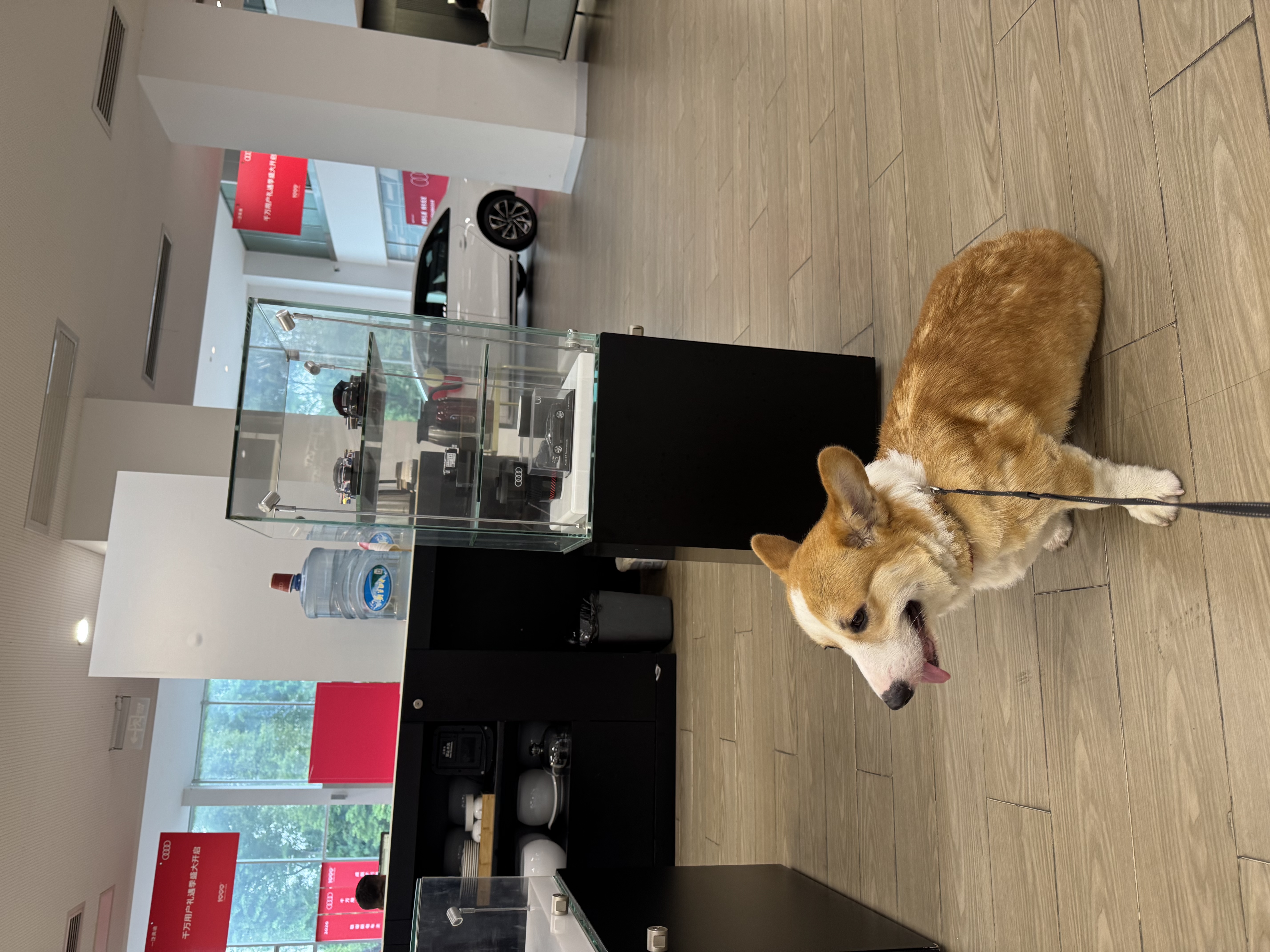 卫仕（NOURSE）五拼冻干狗粮鲜肉成幼犬通用粮泰迪金毛柯基比熊柴犬营养主食干粮 海陆盛宴犬粮4kg 实拍图
