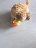 HELLOJOY狗狗玩具耐咬磨牙小狗玩具自己玩解闷神器宠物幼犬玩具发声冲锋鸭 实拍图