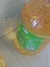 金龙鱼 食用油 非转基因 物理压榨玉米油6.18L（蕴含植物甾醇） 实拍图