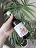 德胜清纯米大吟酿清酒 福禄寿喜财 240ml 单瓶装 中秋送礼 实拍图