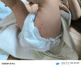 宜婴新梦想家全包臀婴儿小内裤XL72超薄拉拉裤【品牌直供 安心品质】 实拍图