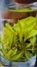 一杯香茶叶绿茶明前黄金芽250g2026新茶春茶礼盒装白茶安吉自己喝散装 实拍图