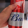 百威【梅西同款】经典红罐啤酒450mL 18罐整箱装喜宴 实拍图
