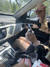 宝娜斯丝袜女超薄款夏季美肤连裤袜不易勾丝黑丝裸感性感光腿神器 实拍图