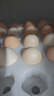 京鲜生 无抗保洁鲜鸡蛋30枚/盒 健康轻食 礼盒送礼 1.5kg/盒 源头直发 实拍图