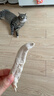 WEYES冻干鸭小胸350g桶装宠物猫狗零食大礼包营养适口性好 实拍图