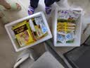 湾仔码头彩皮猪肉小笼包300g 12只包子速食食品面点生鲜儿童早餐半成品 实拍图