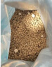 伯纳天纯鸭肉梨冻干三拼狗粮2kg/4斤 实拍图